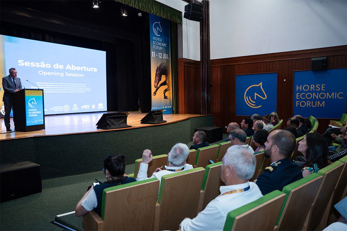 proj web optinized 1200px_0006_C3